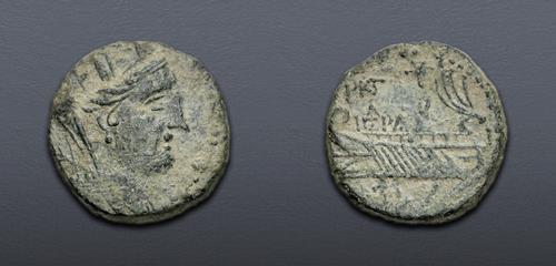 Lot 564 image