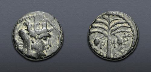 Lot 565 image