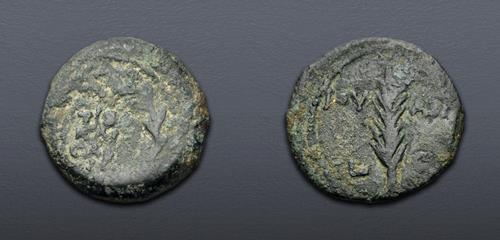 Lot 569 image