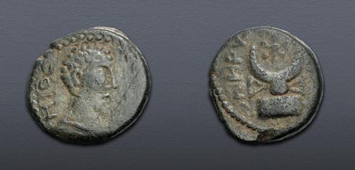 Lot 591 image