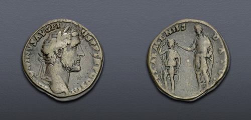 Lot 709 image