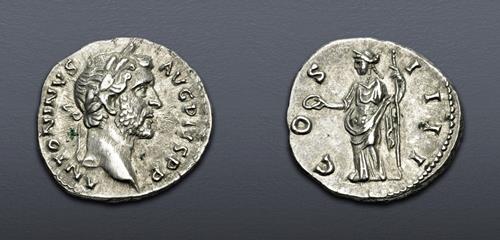 Lot 710 image