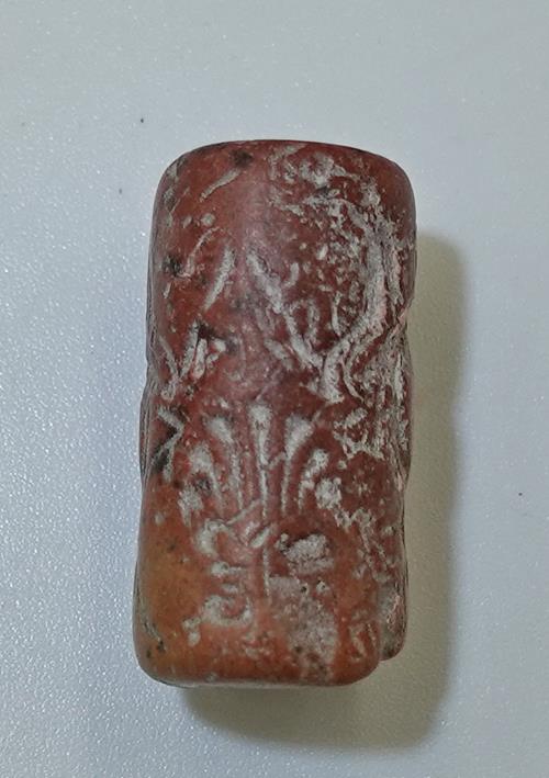 Lot 909 image