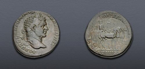 Lot 719 image