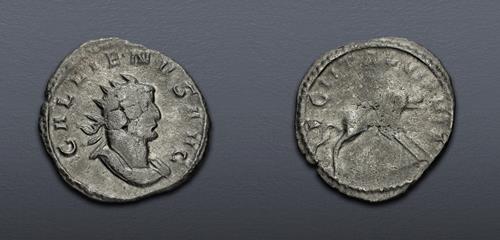 Lot 764 image