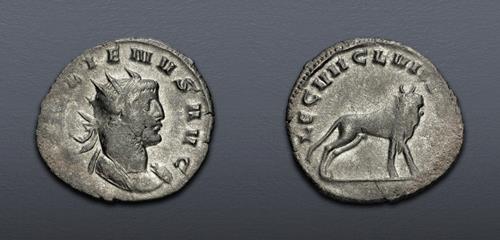 Lot 768 image