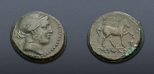 Lot 37 image