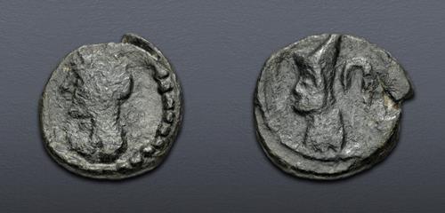 Lot 360 image