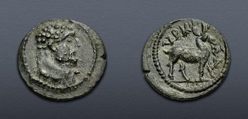 Lot 509 image