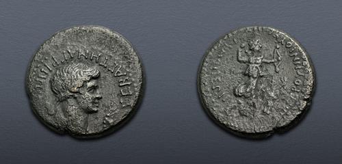 Lot 528 image