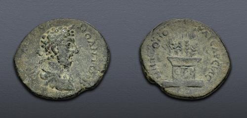 Lot 559 image