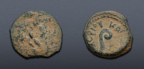 Lot 586 image