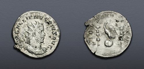 Lot 829 image