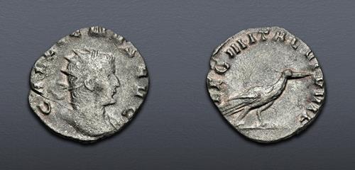 Lot 852 image