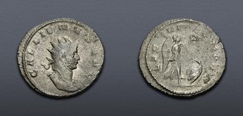 Lot 854 image