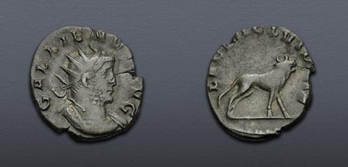 Lot 855 image