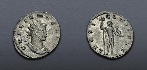 Lot 862 image