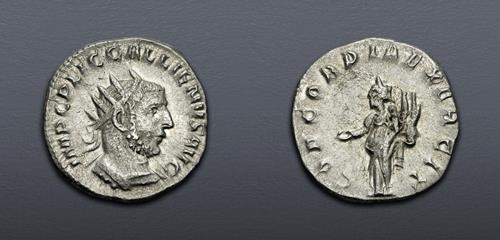 Lot 869 image