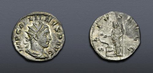 Lot 881 image