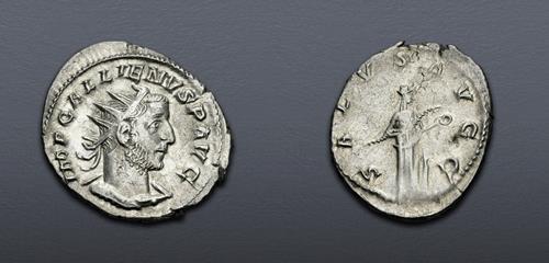 Lot 882 image