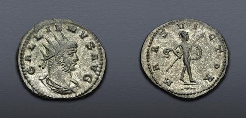 Lot 888 image