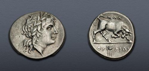 Lot 41 image