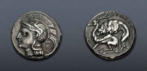 Lot 49 image
