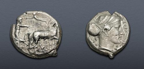 Lot 83 image