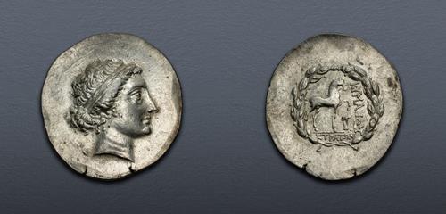 Lot 295 image