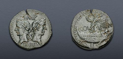 Lot 443 image