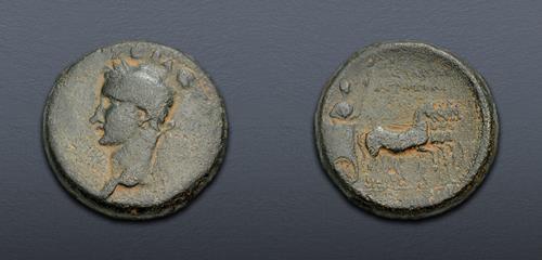 Lot 464 image