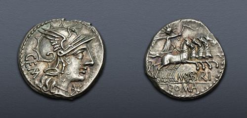 Lot 495 image