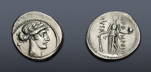 Lot 503 image