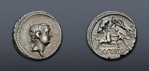 Lot 510 image