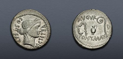 Lot 513 image