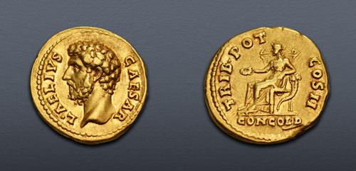 Lot 559 image