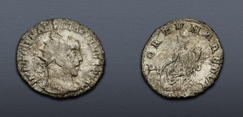 Lot 588 image