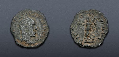 Lot 589 image