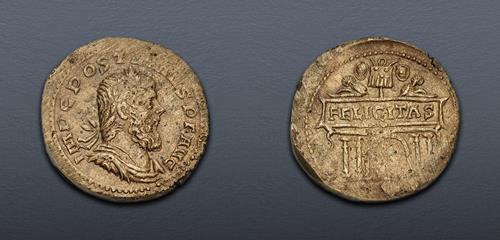Lot 591 image