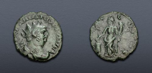 Lot 613 image