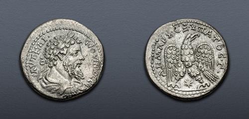 Lot 173 image