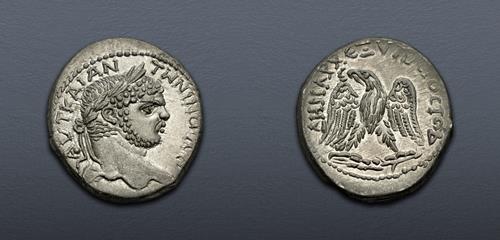 Lot 202 image