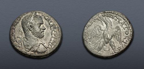 Lot 206 image
