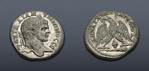 Lot 215 image