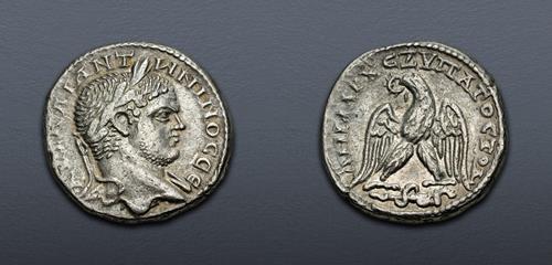 Lot 223 image