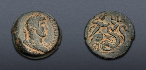 Lot 255 image