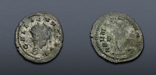 Lot 304 image