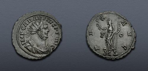 Lot 324 image