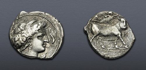 Lot 5037 image