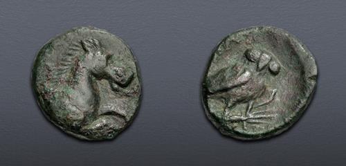 Lot 5061 image